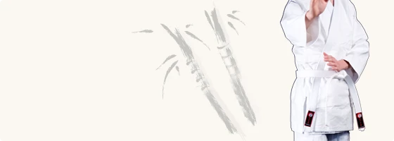 Keikogi